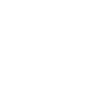 Home Icon